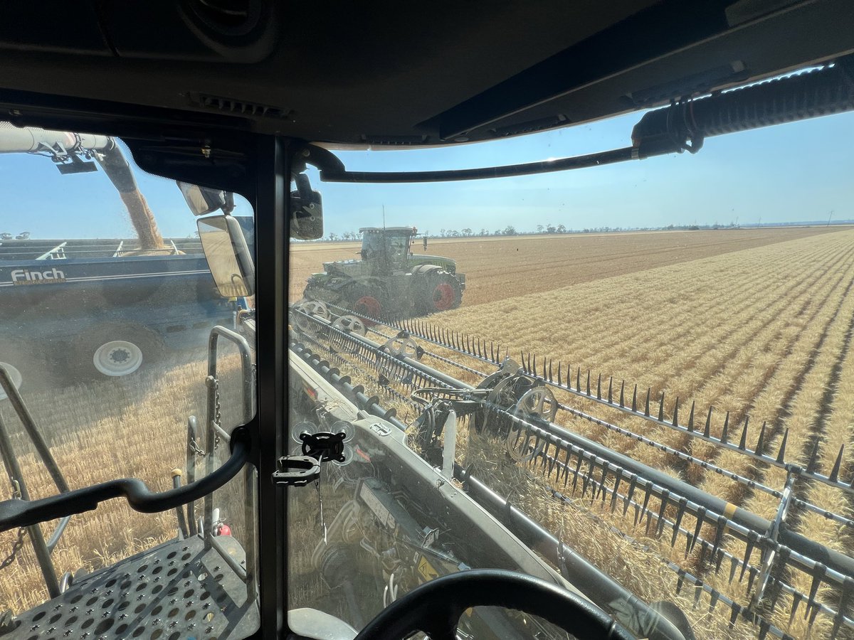 On to wheat.