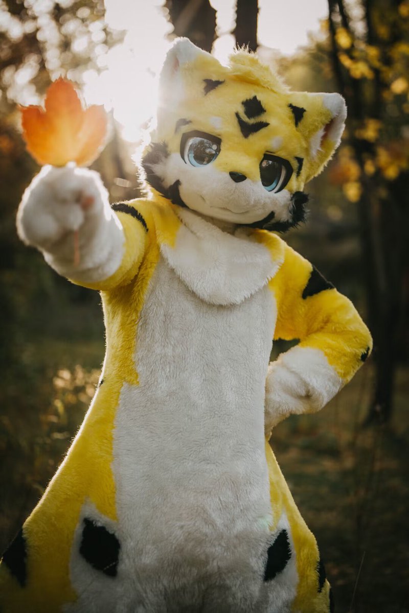 秋天到了送你个叶子！