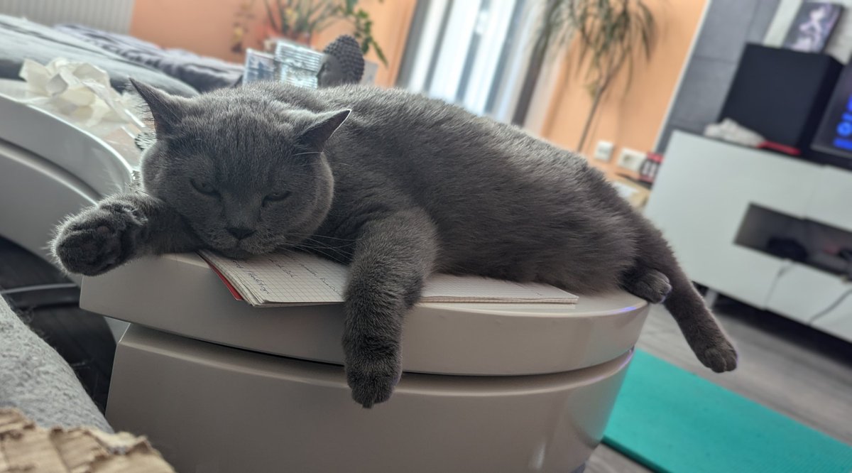 Chris Heilinger (@chris_heilinger) on Twitter photo It's been a busy week, time to relax before the weekend begins. ๐น๐บ๐
๐พ
Have a lovely day X friends. ๐๐โโฌ #Kiro #cat It's been a busy week, time to relax before the weekend begins. ๐น๐บ๐
๐พ
Have a lovely day X friends. ๐๐โโฌ #Kiro #cat