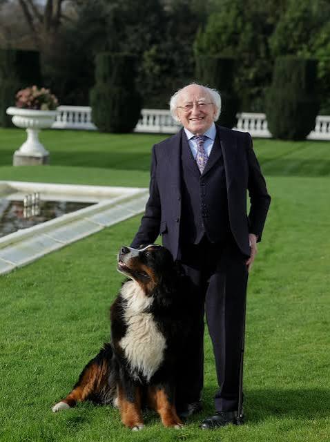 mosci68's tweet image. Thank you @PresidentIRL
@MichaelDHiggins #michaeldhiggins #Election2025 #presidentialelections