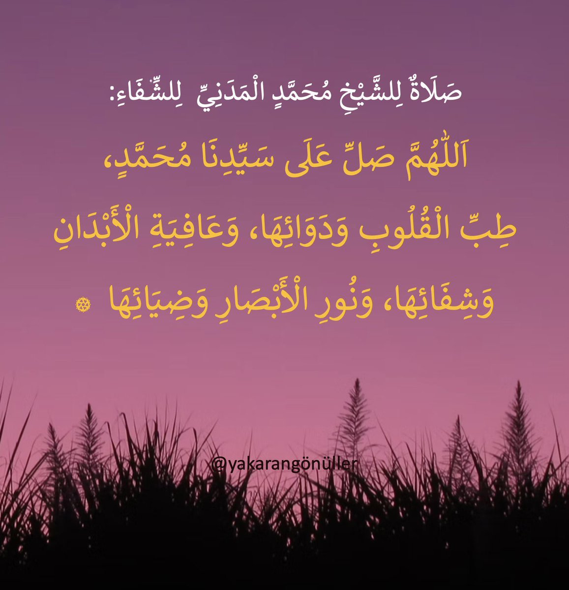 That famous salât ü selam which is a divine gift to the body, healing and light to the soul.