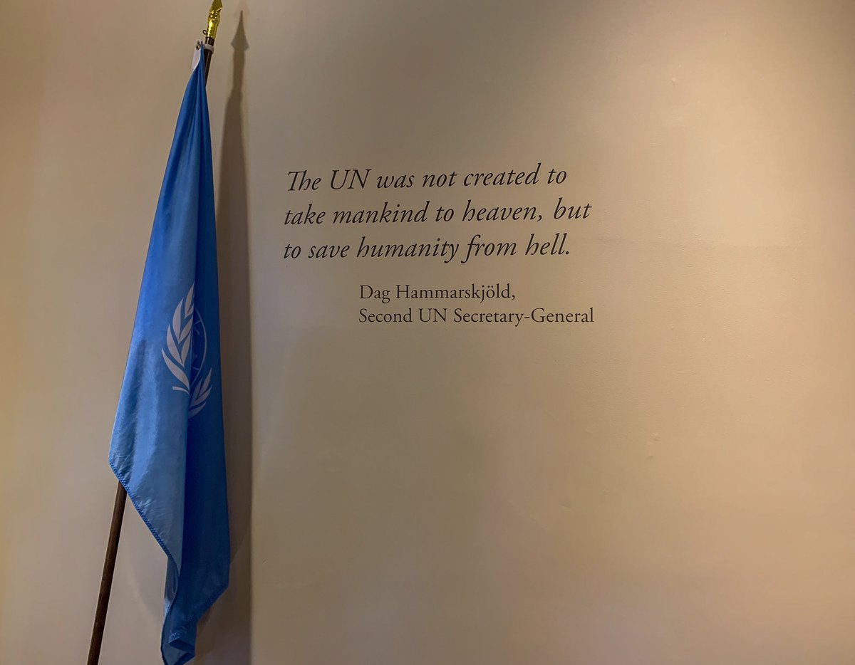 Shoko Noda tweet media