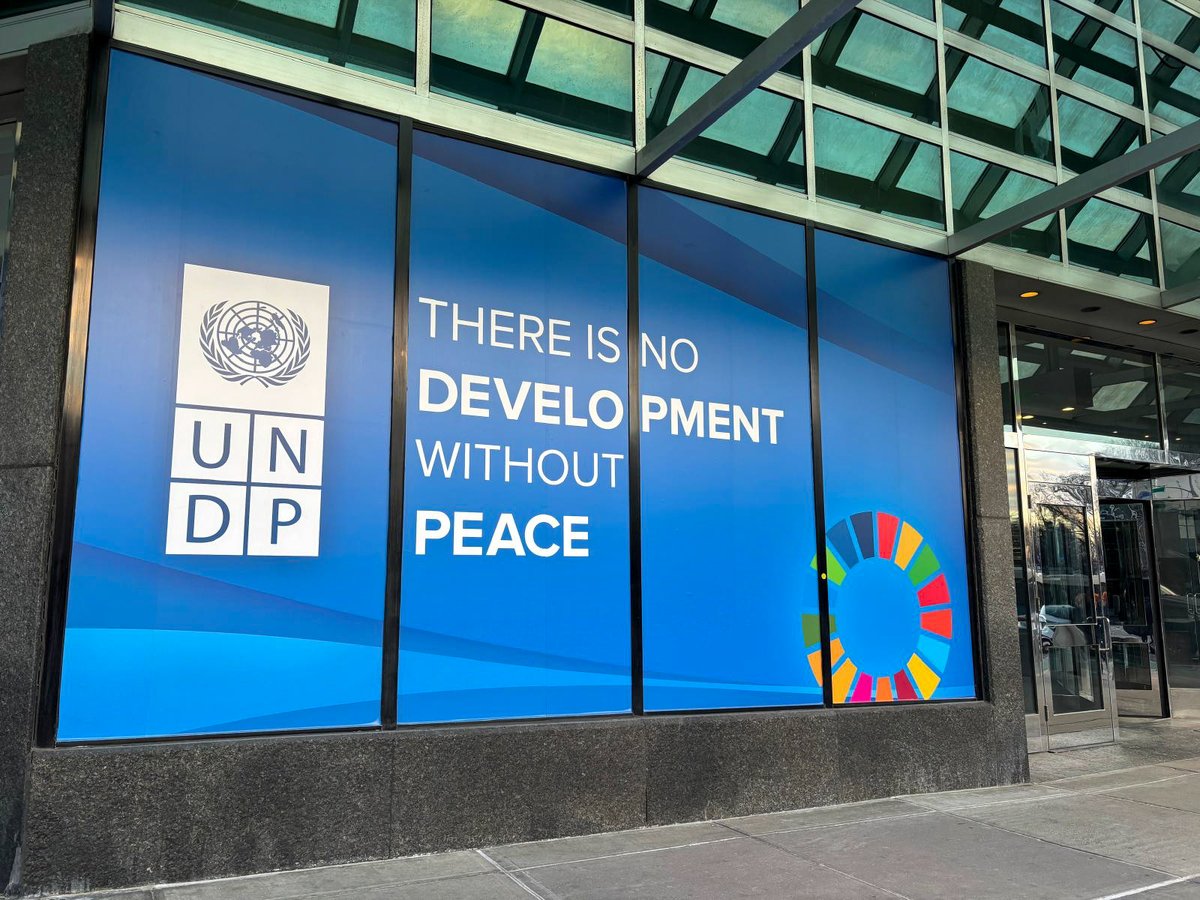 Shoko Noda tweet media