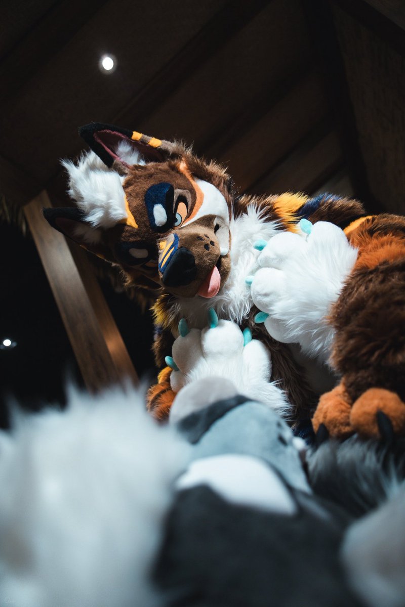 それじゃ…いただきます❤️

So… shall we dig in? ❤️

#FursuitEveryday  #FursuitFriday
🪡： <a href="/kigurumikagetsu/">きぐるみ花月/Kigurumi Kagetsu</a> 
🐺： <a href="/Reijinwolf/">冽刃(レイジン)🔜 獸‧甲子園</a> 
📸： <a href="/republicoframen/">QiuQiu</a>