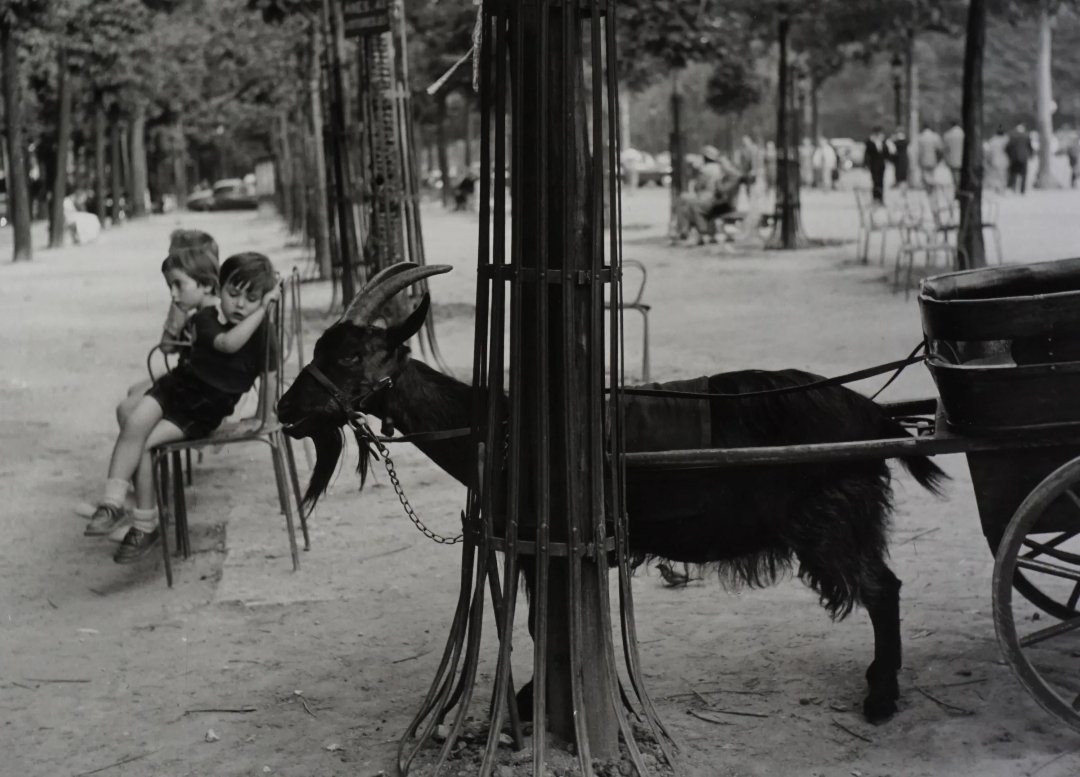 . 

Photography Doroty Bohm.
Tuileries Garden, Paris, 1953