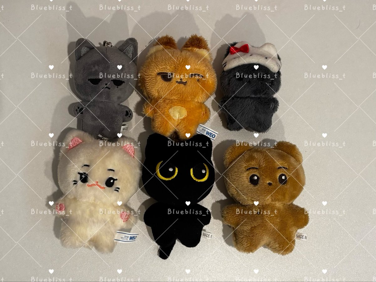 Wts 

ตุ๊กตา
อูยอง 
ฮงจุง
ซองฮวา
จงโฮ

ตัวละ 250 รวมส่ง

For Intl. fans
✅️Thai Bank
✅️Thai Address

#ตลาดนัดเอทีซ #ตลาดนัดateez #ATEEZ #에이티즈

Wooyoung jongho hoongjoong seonghwa