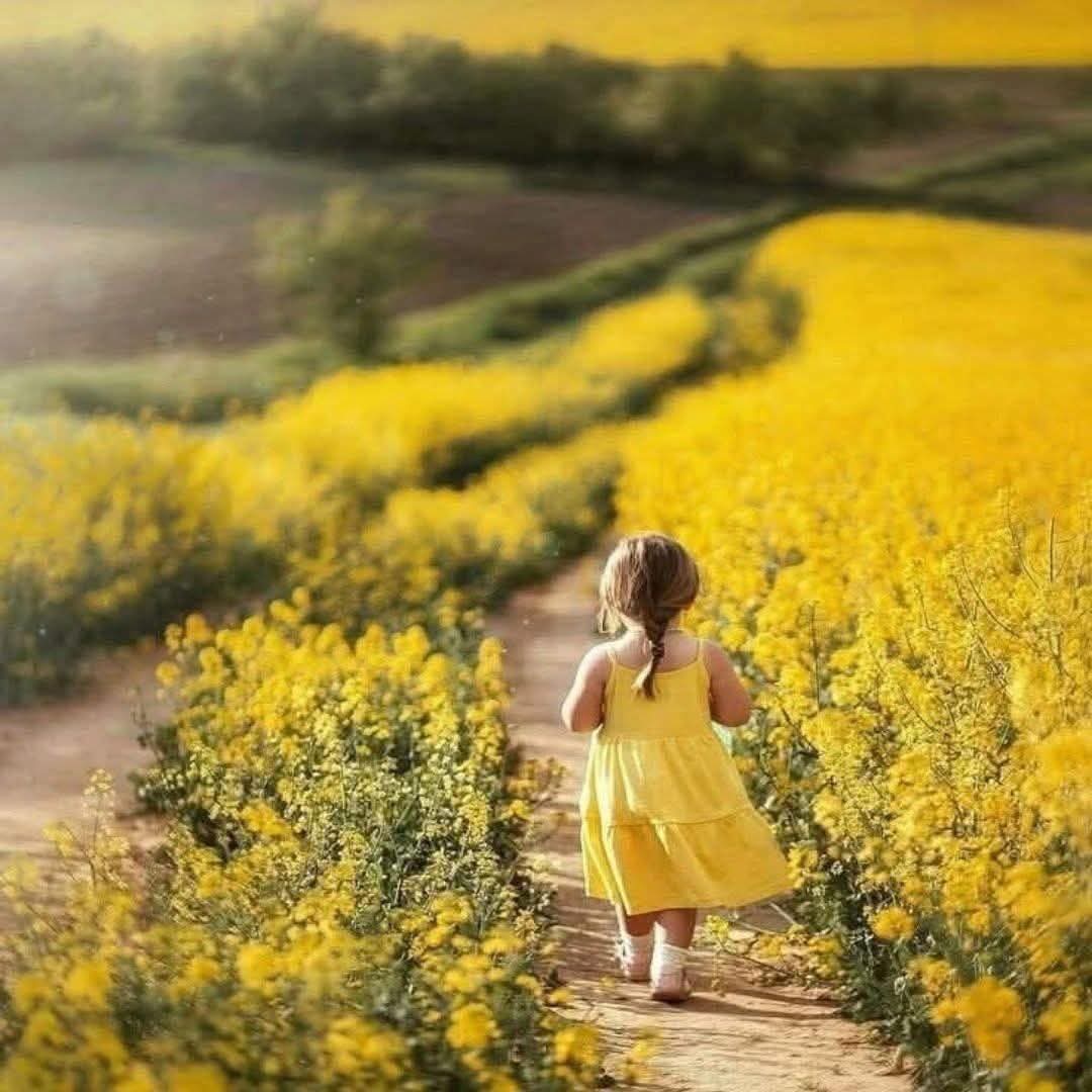 بعض الطرق لا تنيرها الأضواء
بل يضيئها قلب مطمئن 
يمشي واثقاً أن الخير بانتظاره .