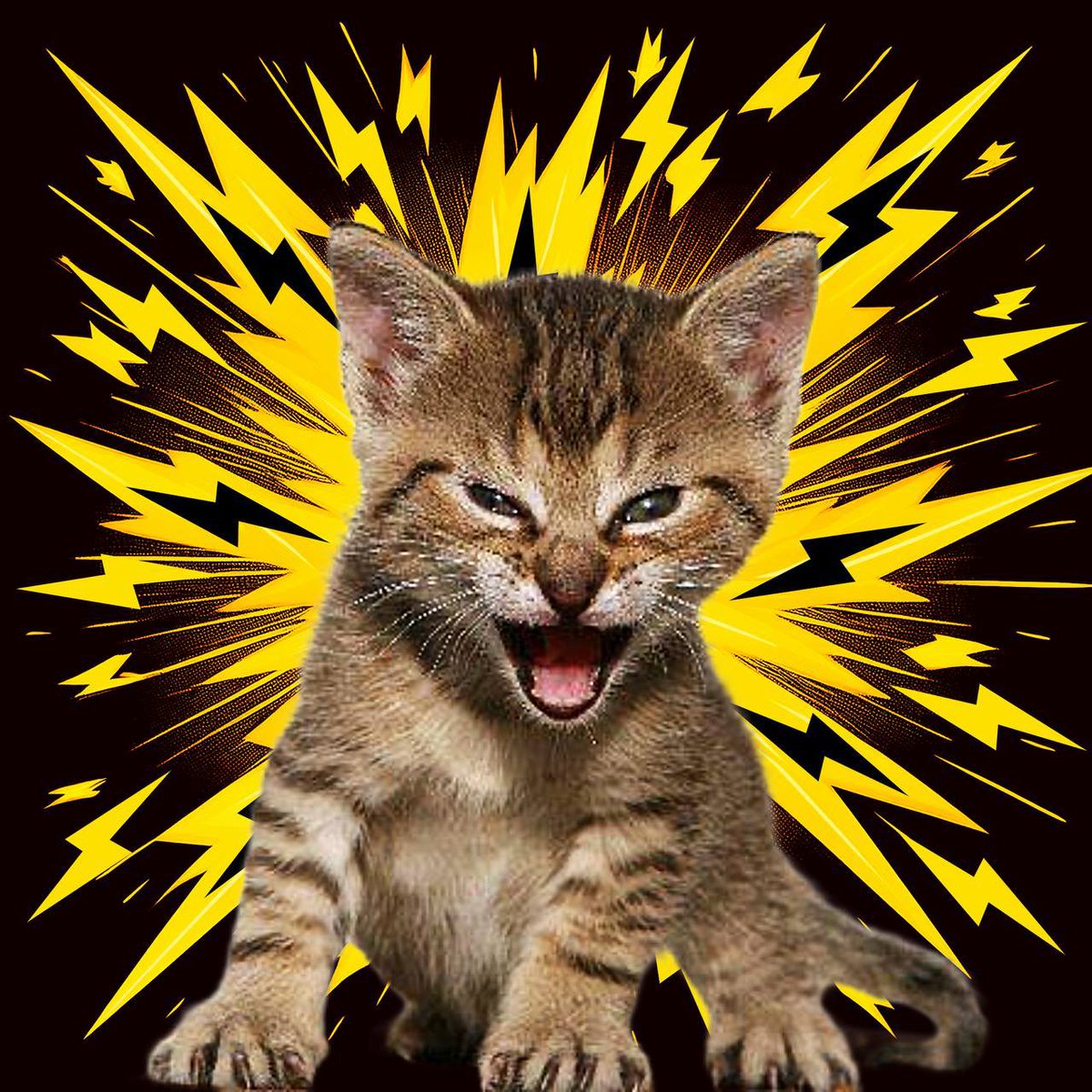 GameStop tweet media