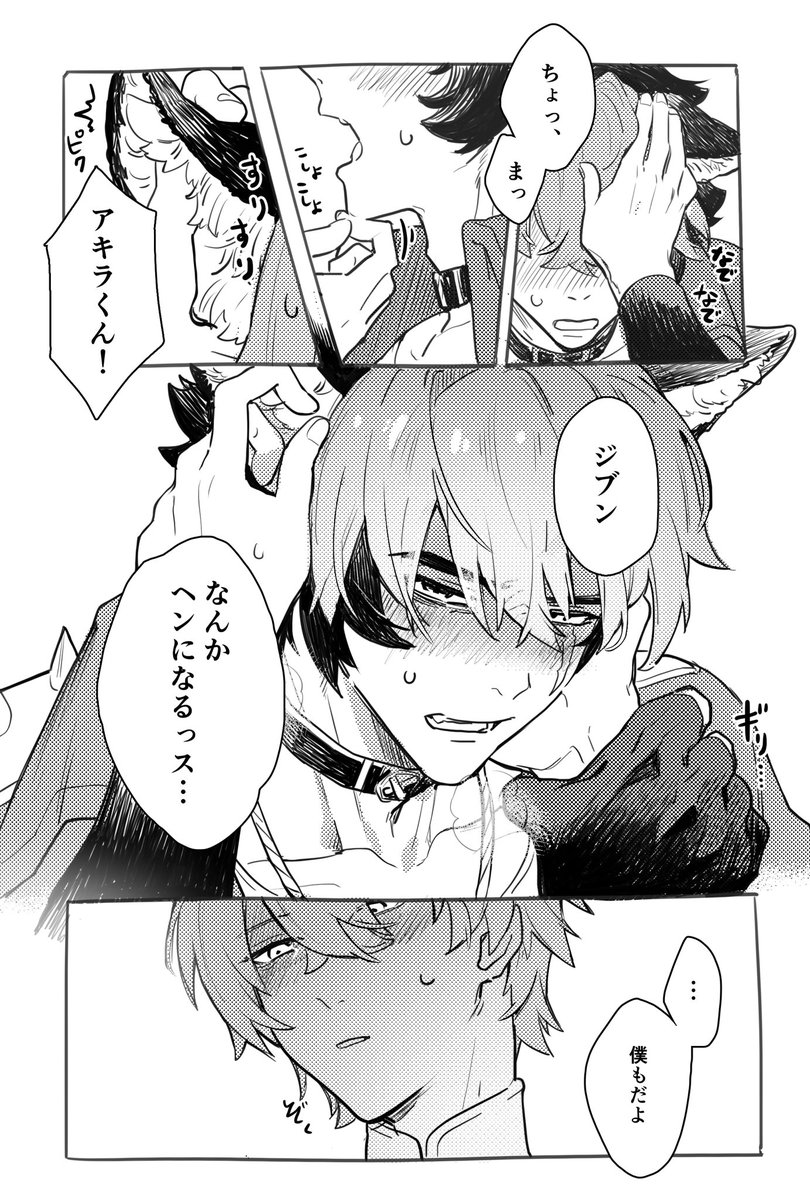 狛アキ🫳🏻⸒⸒ 🐕くんを撫でよう
 #komawise