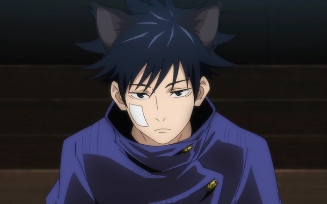 howlonghegone's tweet photo. Catgumi 🐈‍⬛️ 🐾 https://t.co/RX6zG4Obo1