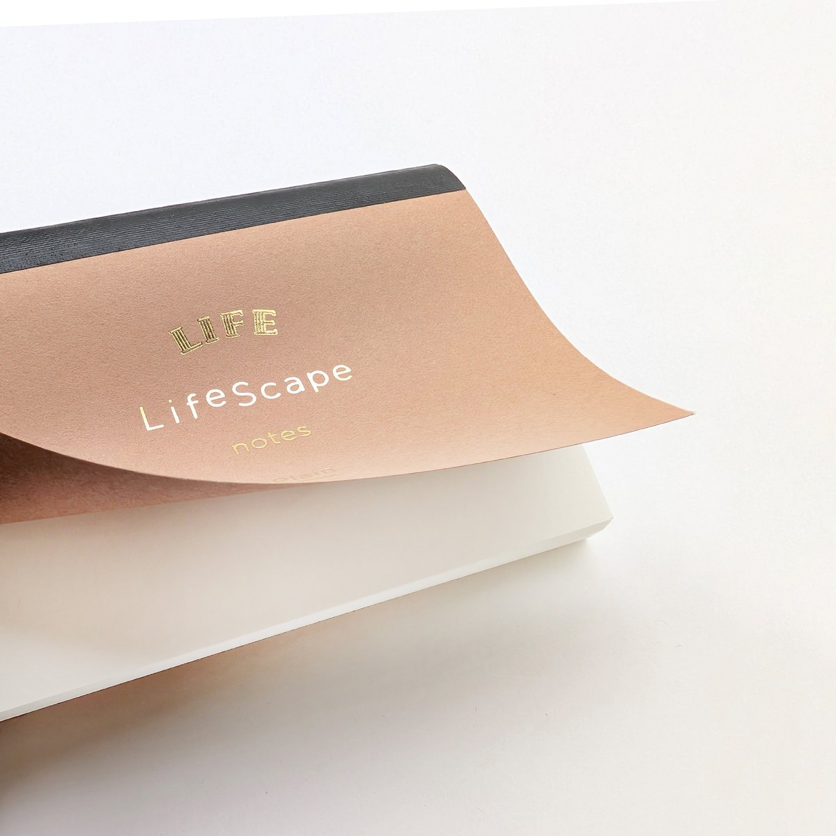 LIFEstationery's tweet photo. ノートの本文紙は、
#Lライティングペーパー ホワイトです。
ライフのオリジナル筆記用紙なので書き心地も抜群です✨
罫の色はグレー。ガイドはするけど文字の邪魔をしない、絶妙な色味です。
女性の手と比較した写真もおつけしますね。
#ライフスケープ #LifeScape https://t.co/j7AUiYubk7
