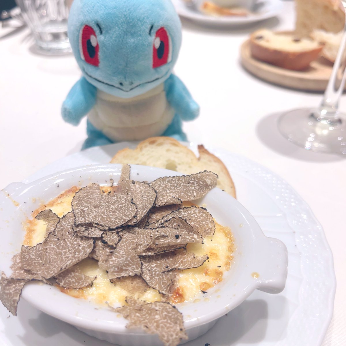 ゼニガメ公式 ゼニガメ | MBS 毎日放送