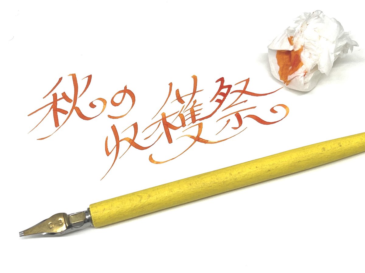 かめのこわたし on X