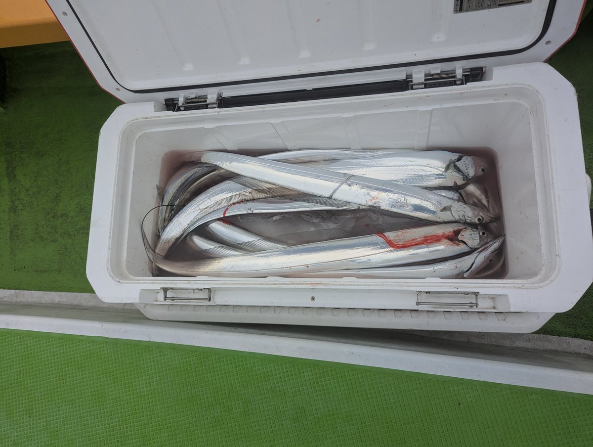 JIG男(ジグオ)☆敗北しか知らない on X