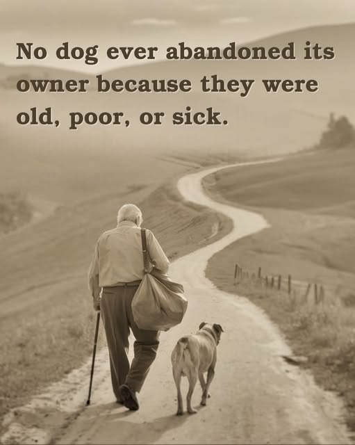 Dog Lovers (@doglovers03) on Twitter photo  Dog Lovers (@doglovers03) on Twitter photo