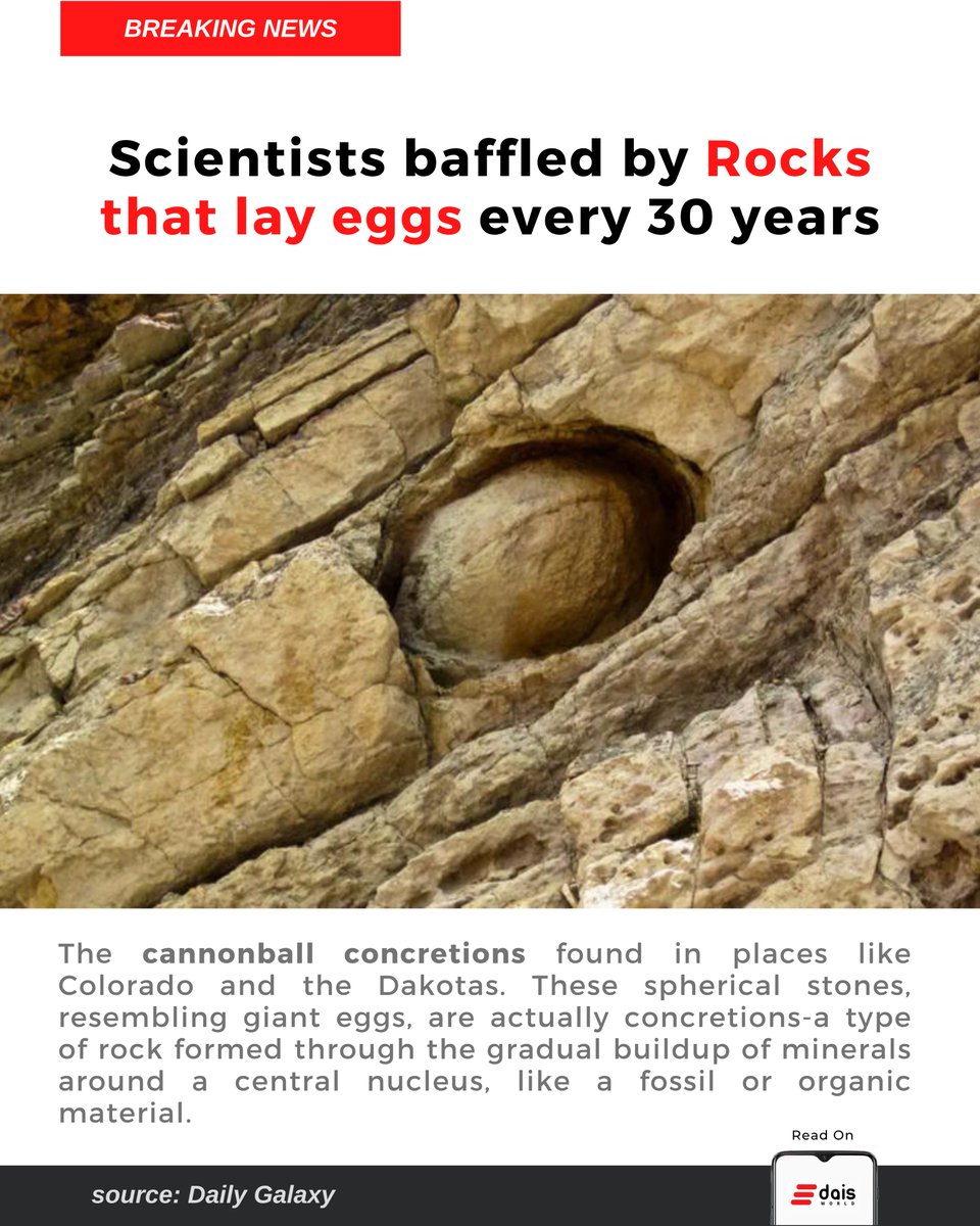 world_dais's tweet photo. Scientists baffled by Rocks that lay eggs every 30 years.
The cannonball concretions are found in places like #Colorado  and the #Dakota.

#sciencenews #geographyfun #Archaeology #cannonballfest https://t.co/fdSNdFvjVN