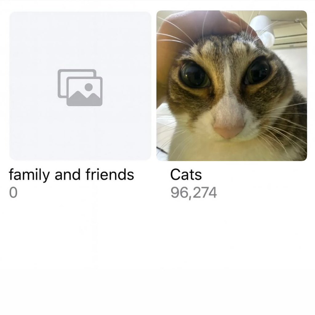 AuraWithCat's tweet image. Real