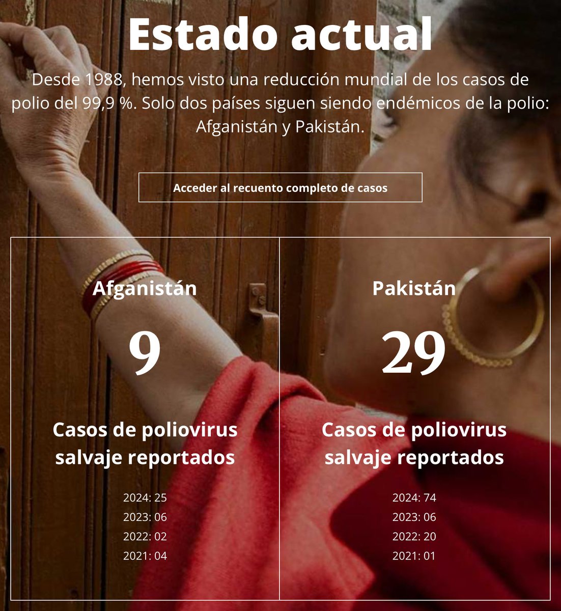 RarasNoInvisibles tweet media