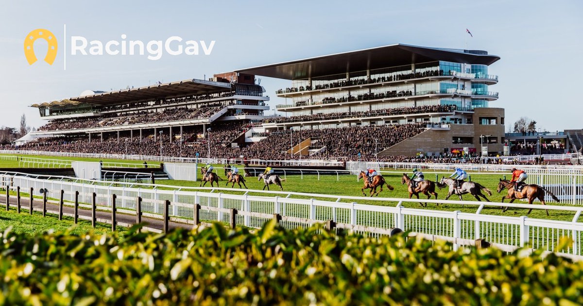 RacingGav tweet media