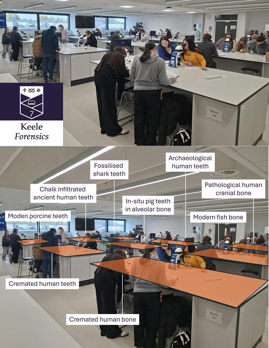 Keele Forensics tweet media