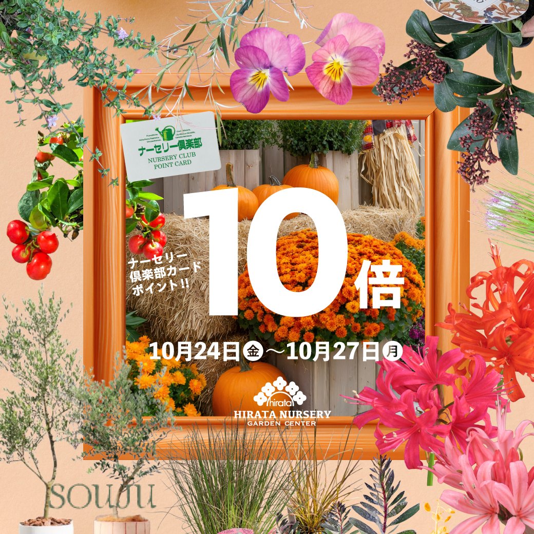 Hirata_Nursery_official【平田ナーセリー】 (@hirata_nursery