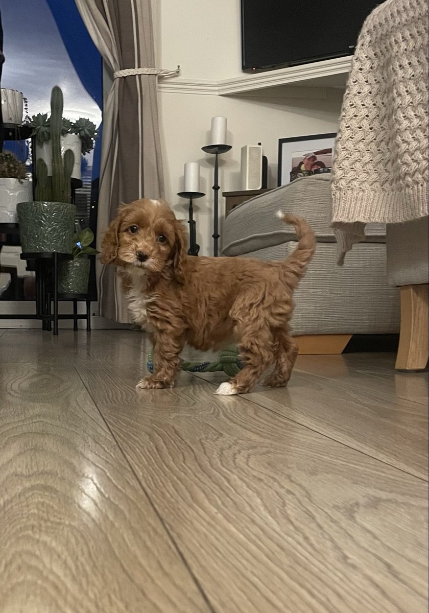 Steven Fletcher tweet media