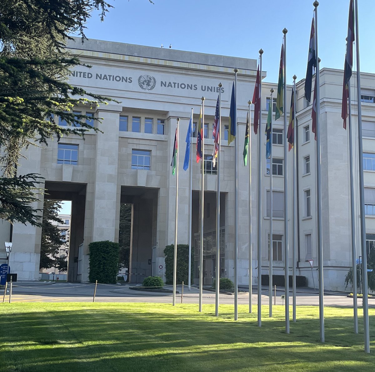 Today is United Nations Day, when we celebrate the entry into force of the Charter on October 24, 1947. 🇺🇳

In June 2024, Plataforma per la Llengua obtained special consultative status with ECOSOC. Since then, we’ve stepped up our participation. And we’ve made the most of it!