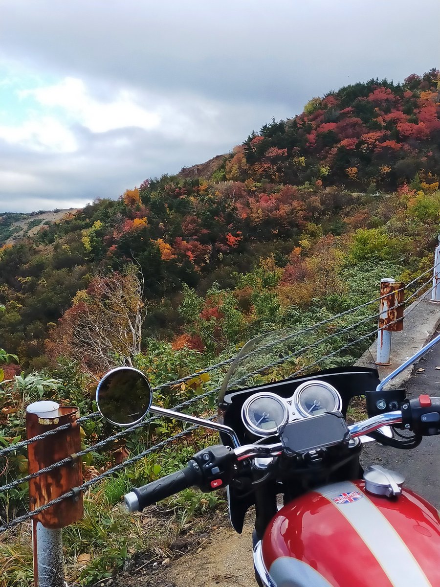 もろちゃん もろちゃん on X