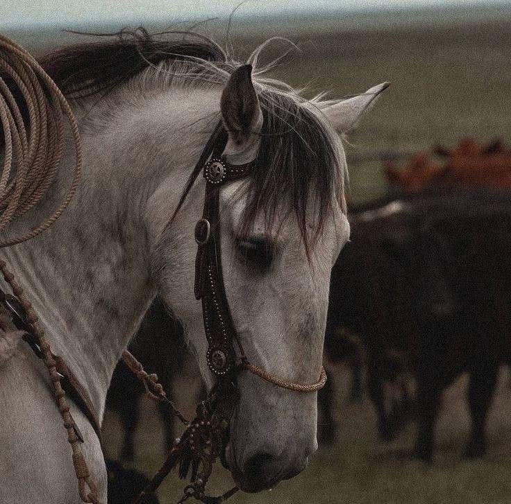 ،
،
،
جارت مواجِعُهُ فأطرقَ صامتًا

والصمتُ في الوجعِ اللئيمِ خِطابُ