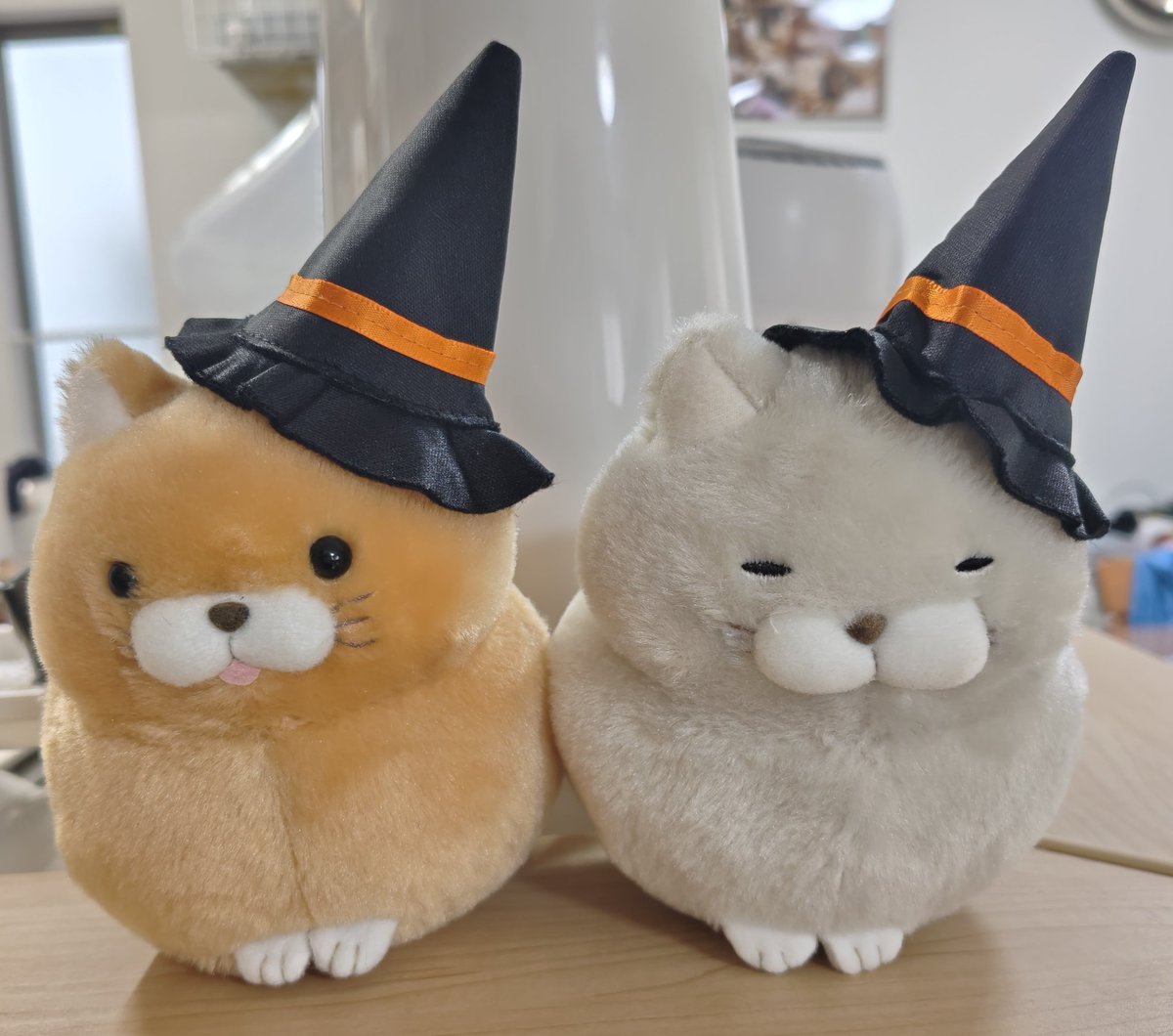 ぎゃばん＠VanGa0911 (@teniova) / Posts / X