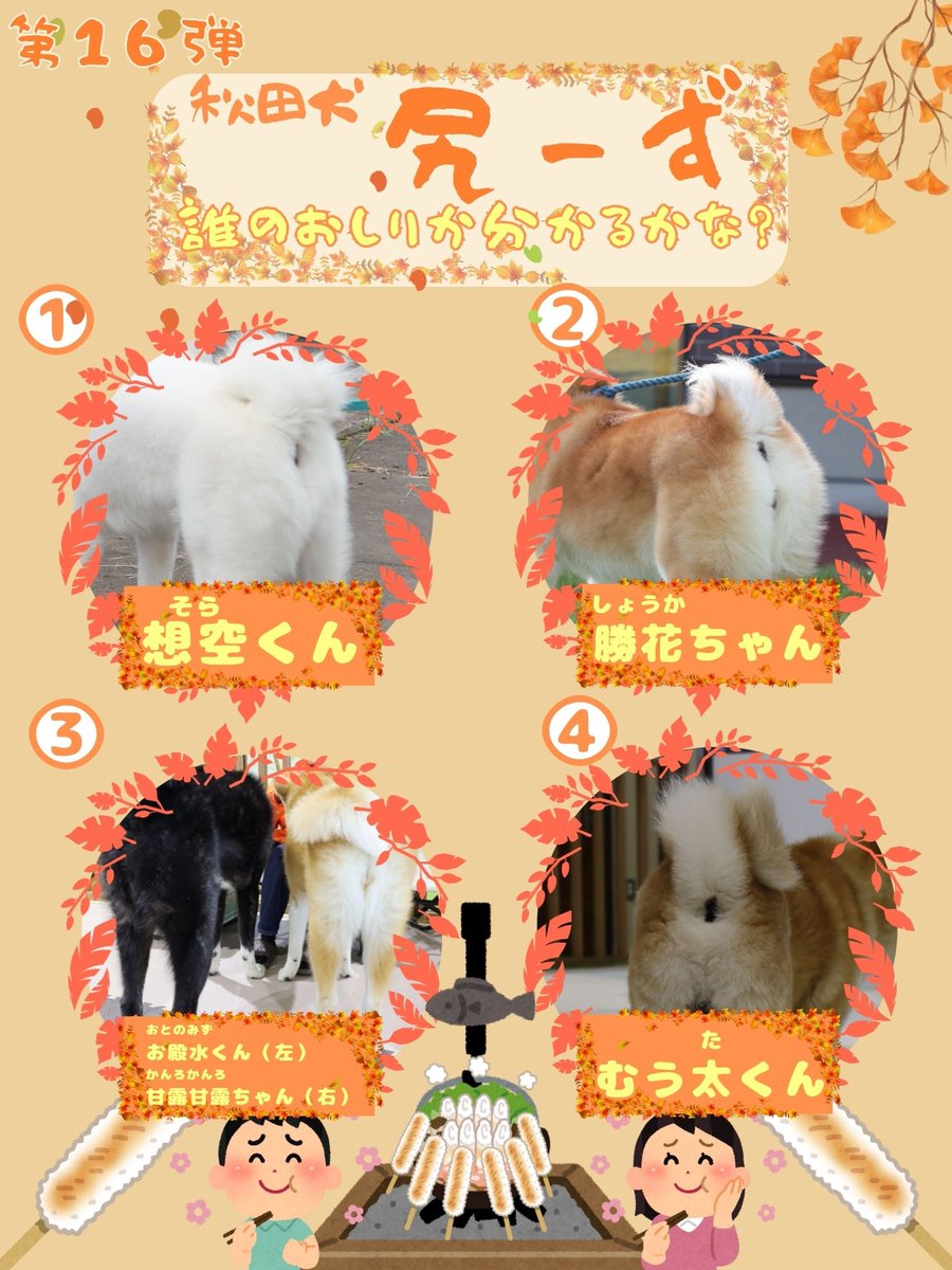 秋田犬のむう太🐶 (@muuuu0531) / Posts / X