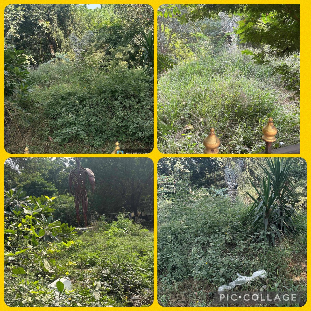 ⁦<a href="/official_dda/">Delhi Development Authority</a>⁩ ⁦<a href="/MCD_Delhi/">Municipal Corporation of Delhi</a>⁩ ⁦<a href="/mssirsa/">Manjinder Singh Sirsa</a>⁩ ⁦<a href="/LtGovDelhi/">LG Delhi</a>⁩ ⁦@⁩ ⁦<a href="/gupta_rekha/">Rekha Gupta</a>⁩  Complaints has been filled since 06/09 but till date none of civic agencies took any action highly shameful huge amount spent on beautification n now neglected spot
