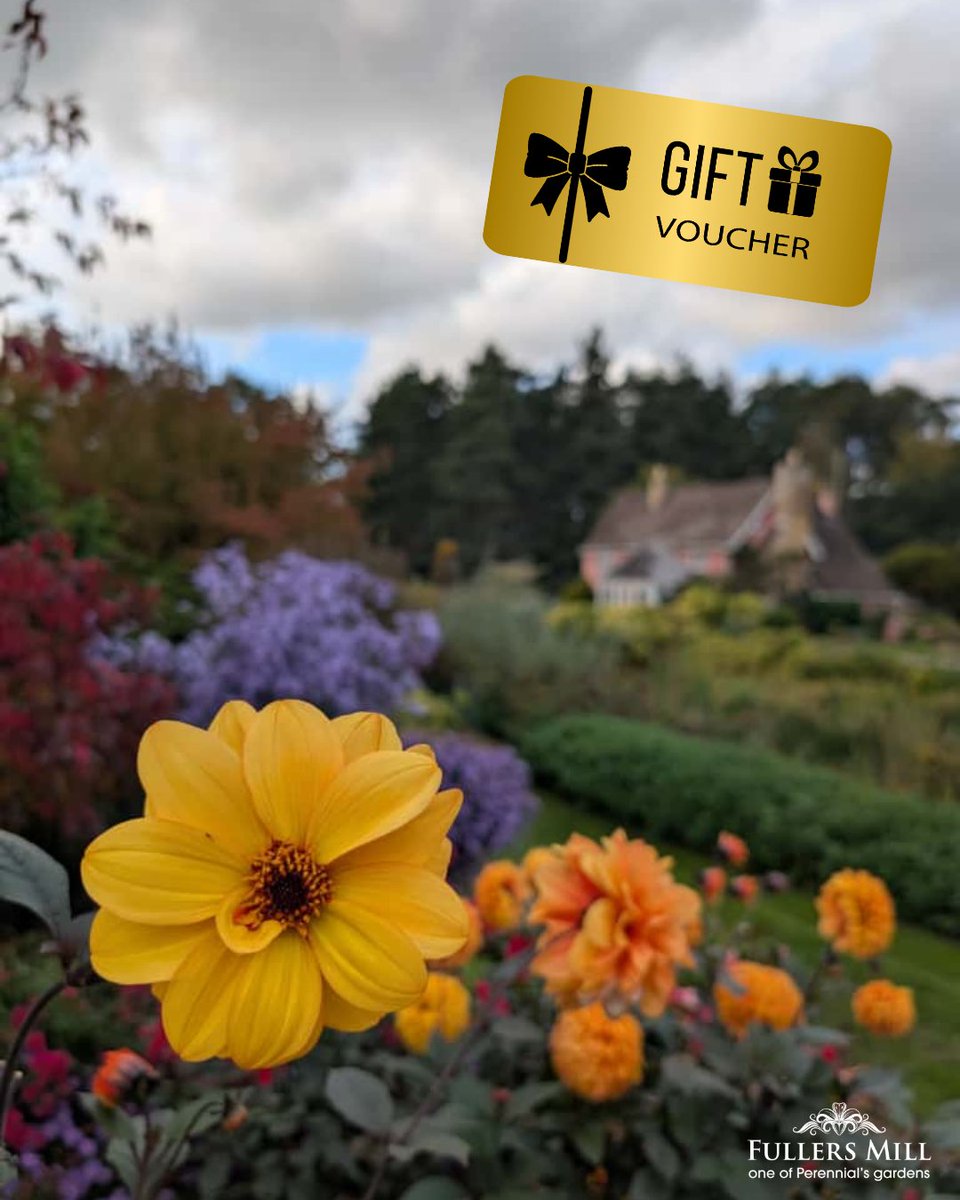 Looking for a present with a difference? 🎁

Our gift certificates include entry for two and refreshments in the Bothy Tearoom. A lovely way to share the peace and beauty of the garden 🌿

Buy in the shop before we close for the season: perennial.org.uk/gardens/garden…
#PerennialsGardens