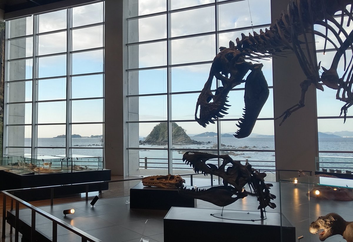 PM4:40
茜色だろ～
来月は島の見えるだろか🤔

みんな楽しみにしとってね✌️

#べネックス恐竜博物館 #恐竜博物館 #恐竜 #野母崎 #長崎 #長崎観光 #子供 #体験 #お出かけ #博物館 #長崎市恐竜博物館