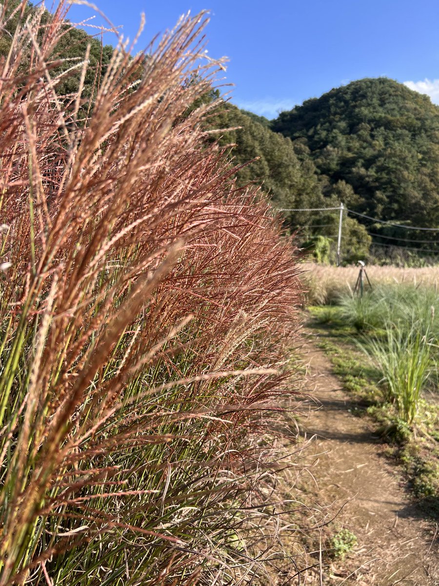 이제야 좀 가을 같다.