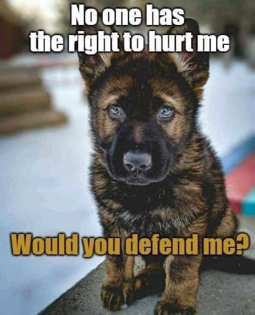 Beyond_theleash's tweet image.