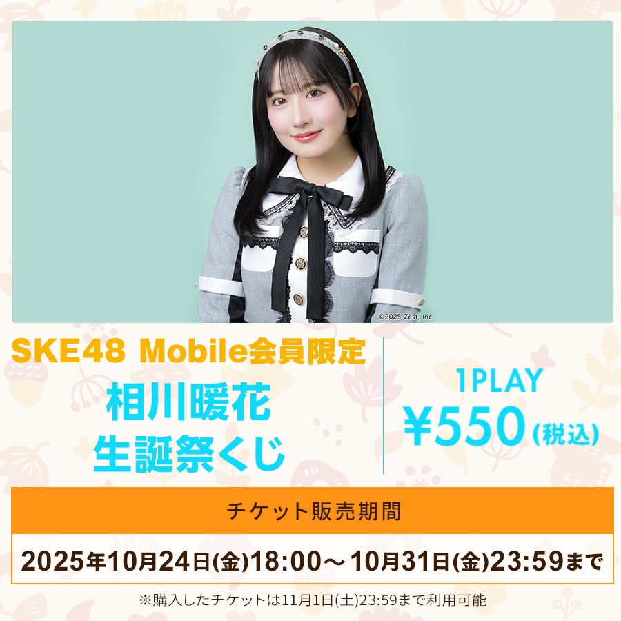 ske48 2016年 福袋 生写真 ske48 2016年 福袋 生写真