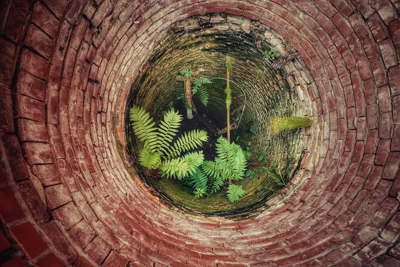 "Si empezaba el día maldiciendo, ya no tenía marcha atrás, como quien cava y cava un pozo de mierda bajo los pies"
—Manuel Rivas, nacido hoy hace 68 años.

Tomemos nota. #BuenosDiasATodos 

Ilustración de ThomasWolter