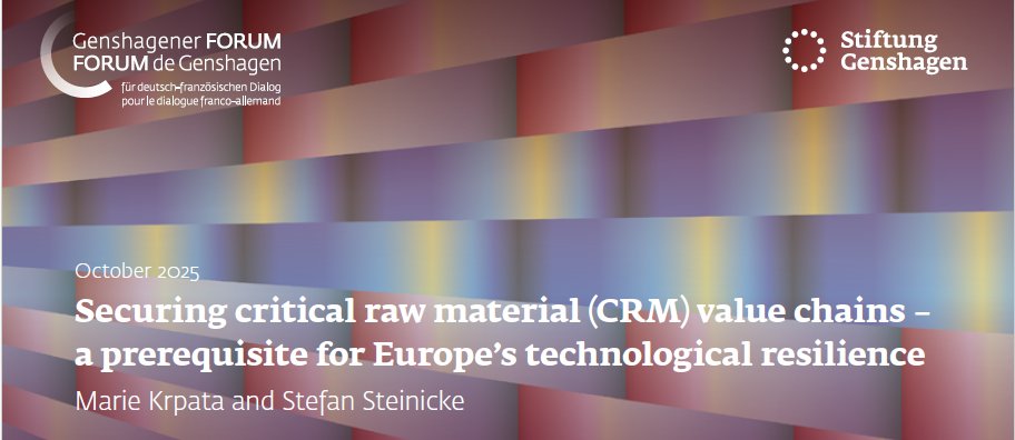 Happy to publish w/ <a href="/s_steinicke/">Stefan Steinicke</a> (<a href="/Der_BDI/">BDI</a>) the outcomes of a workshop held in <a href="/SGenshagen/">Stiftung Genshagen</a> in 06/25. We delved into the🗺️ of critical raw materials (CRM) thanks to my colleague <a href="/johnfseaman/">John Seaman</a> &amp; tried to find ways to ensure 🇪🇺#CRM value chains &amp; partnerships. tinyurl.com/muvxhue9