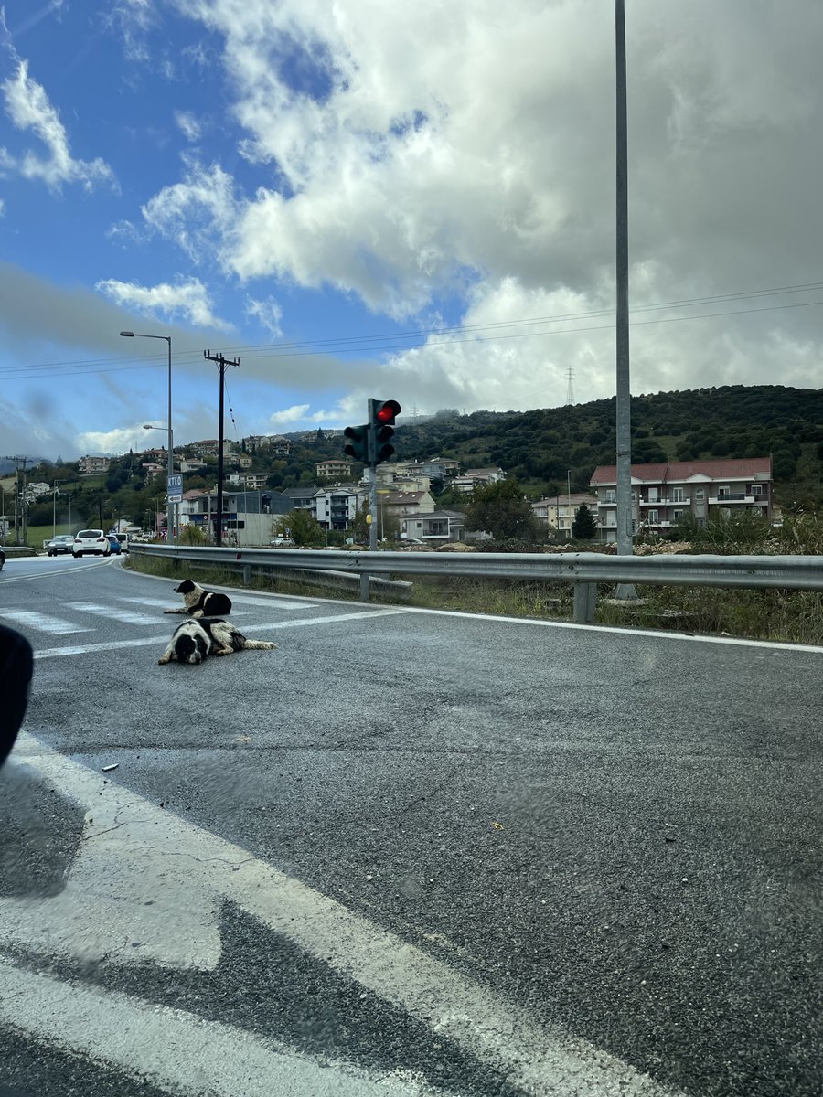 -Γιατί άργησες
-Είχε κίνηση