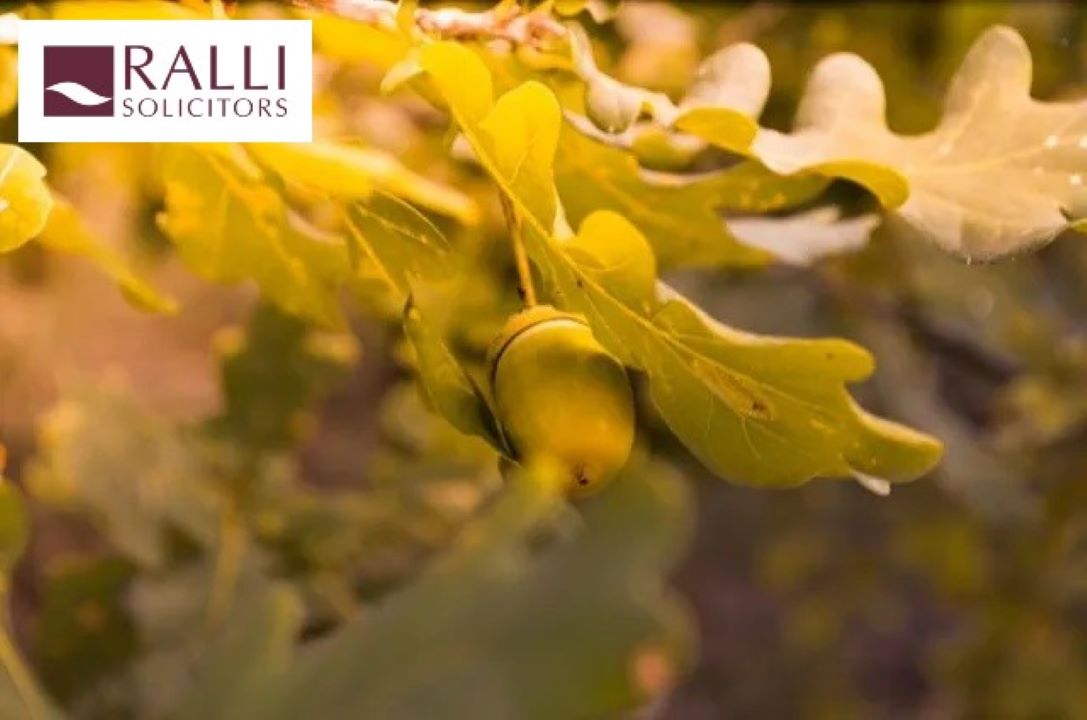 Reforms to employment law are on the way.

Did you catch our blog on the roadmap for the Employment Rights Bill? 👉 ralli.co.uk/roadmap-for-de…

#EmploymentLaw #EmploymentRightsBill