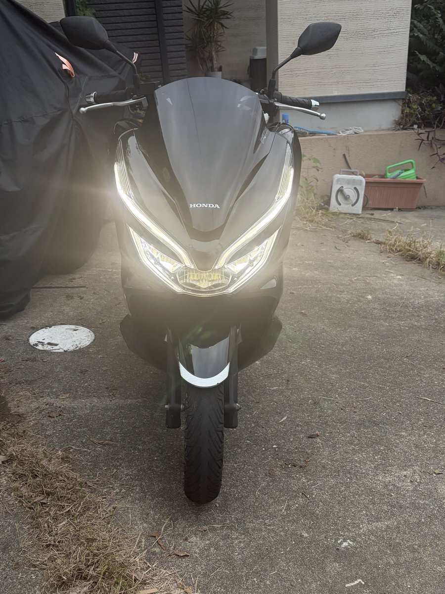 きんちゃん (@kinchan1102) / Posts / X