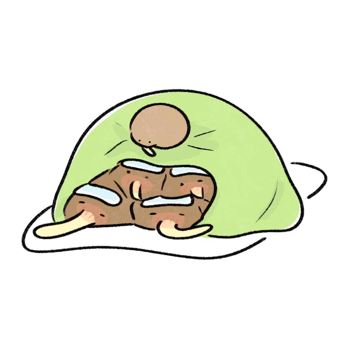 寒すぎて風邪をひいたキーウィ達