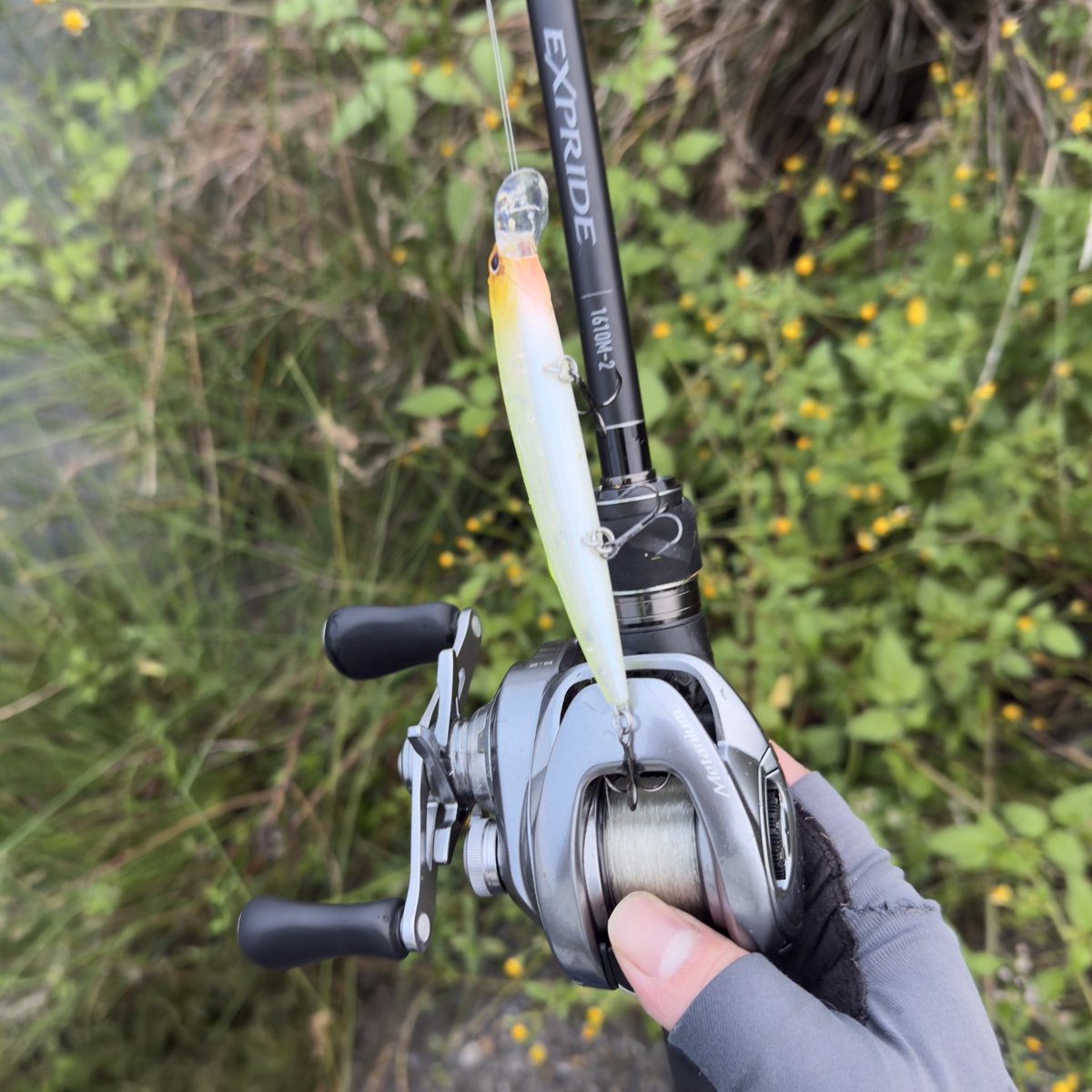 ワンチャンありそうで、やっぱりとくになかった。