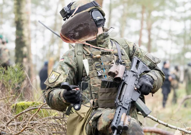 Pro Carryot tweet media