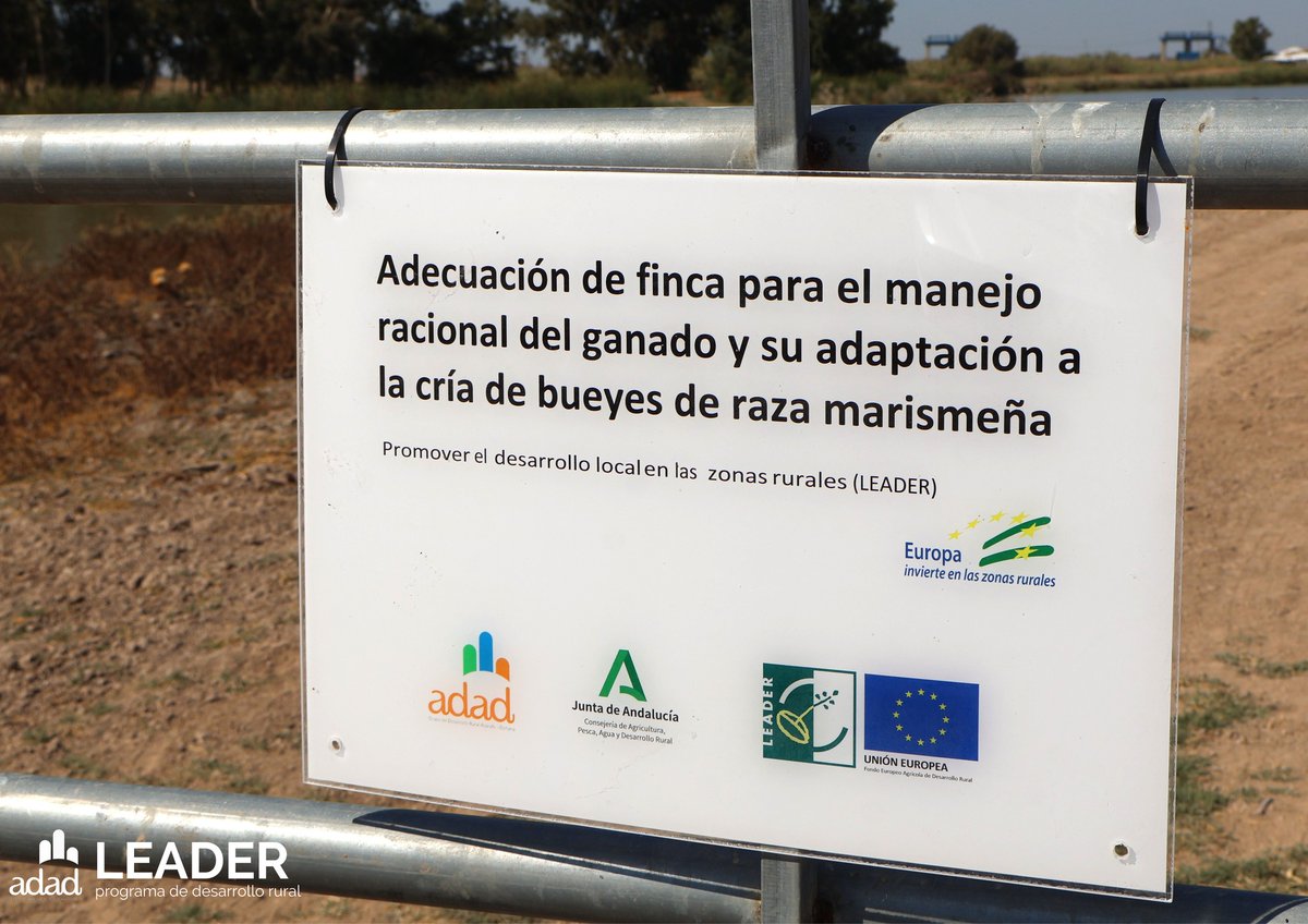Aljarafe_Donana's tweet photo. 🟠#ProyectosLEADER | Cría ecológica de vacuno marismeño y recuperación de raza autóctona en #LaPueblaDelRío #Doñana con apoyo del programa #LEADER de ADAD.

➡️Un modelo ganadero innovador en plena Zona ZEPA del Brazo del Este en la Doñana Sevillana.

https://t.co/ps205megip https://t.co/3PElAhDJnw