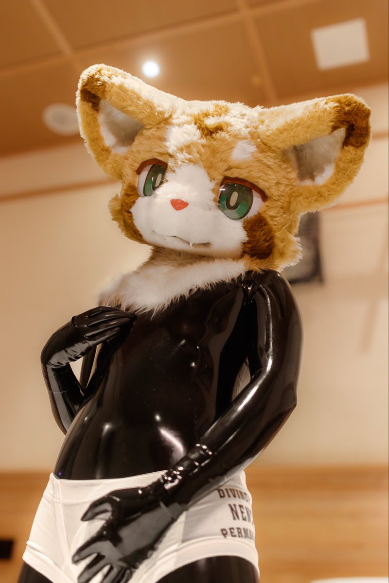 奶斯 Necesseじ➡️Hifurry tweet media