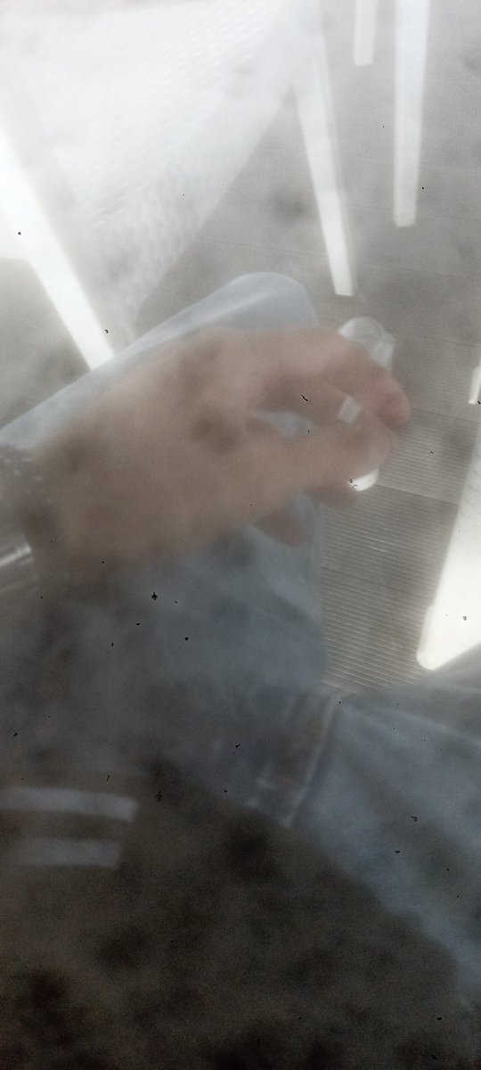 Günün beşinci  siğarası  yarılandı Allah  izin verirse paketin sonunu görürüz akşama kadar
Dipnot: kameranın kusura bakmayın