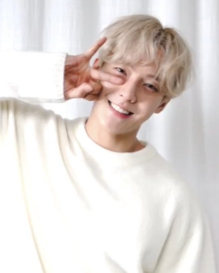 강아지 털 날림 ◌ ◌ ◌