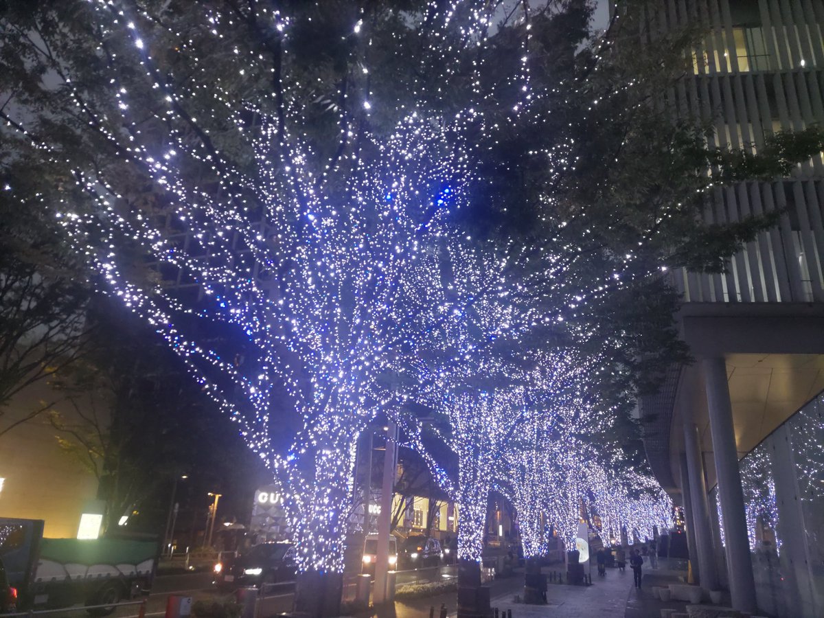 小田十シカス② 8933 on X